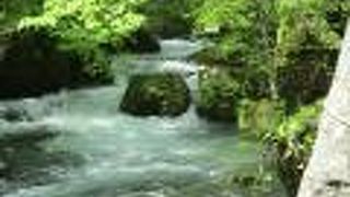 阿修羅の流れほどの勢いはありませんが、白く輝く水の流れを見ることができます。