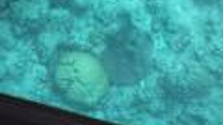 グラスボートおすすめです