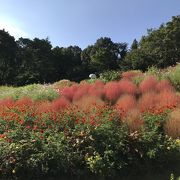 横浜から近い憩いのガーデン