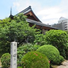 さわやかな雰囲気です