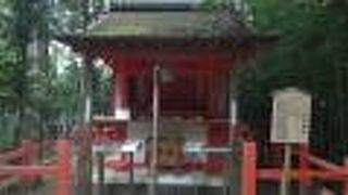 「一つだけ」の願い事は難しいです