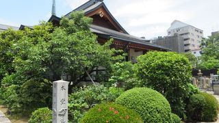 緑が多いお寺です