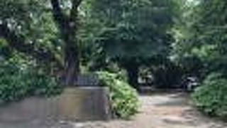 見学はしづらいお寺