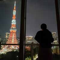 バルコニーから東京タワーを眺める妻。