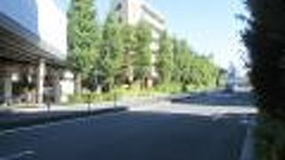 名前の由来は諸説あるようです