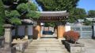 石仏がたくさん置かれていました