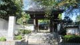 大イチョウが立派です