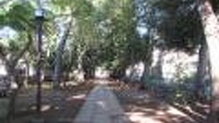 参道の長さにびっくり！