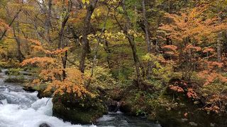 紅葉が綺麗でした。