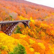 紅葉と橋の素晴らしいコラボ
