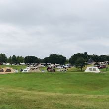 芝生が心地よいサイト