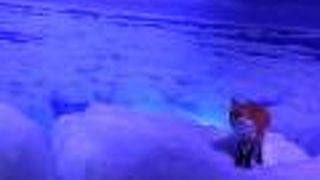 零下十五度の凍える展示、流氷館