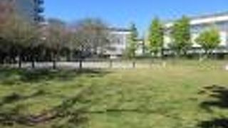 狭い芝生広場があります