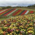 四季彩の丘公園