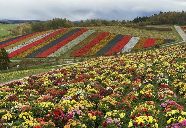 四季彩の丘公園