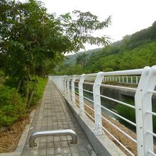 用水路、両側は遊歩道