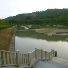 柴山滞洪池公園