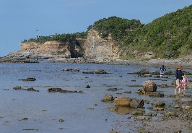 一面に広がる畳のような平らな岩場