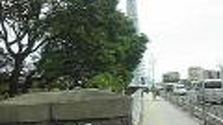 スカイツリーの絶景