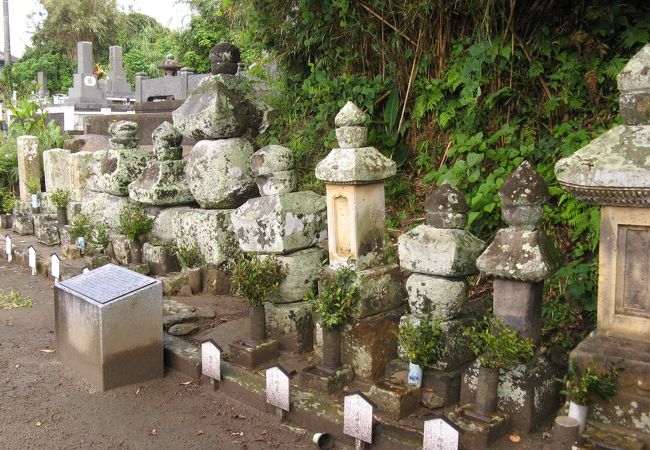 鉄砲伝来時の島主種子島時尭公のお墓もあります