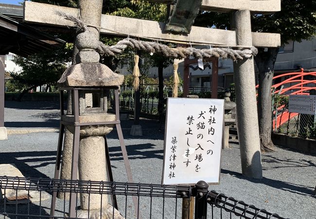 築紫津神社