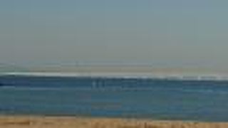 イベントに行って来ました。