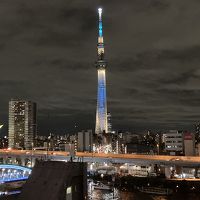 部屋の扉の前から撮影