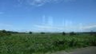 お一人で訪問しました