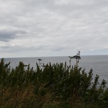 オホーツク海の景色