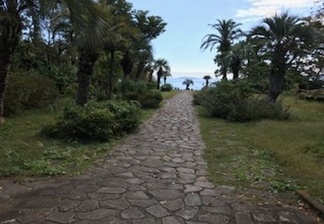 海がよく見える公園