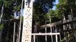 ロングジップラインが人気のフォレストアドベンチャー三島スカイウォーク 