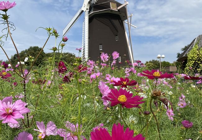 花博記念公園鶴見緑地 クチコミ アクセス 営業時間 鶴見 城東 フォートラベル 花博記念公園鶴見緑地 クチコミ アクセス 営業時間 鶴見 城東 フォートラベル