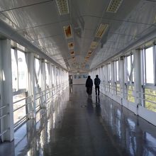 展望台（橋部分）