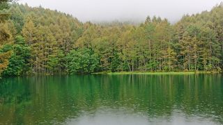 緑溢れる人口池