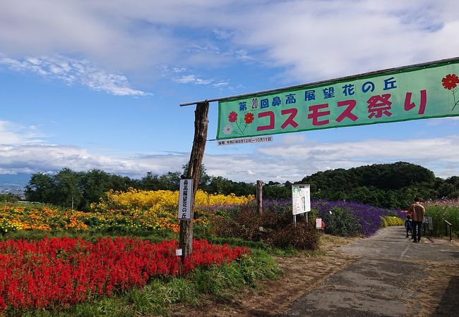 鼻高展望花の丘 クチコミ アクセス 営業時間 高崎 フォートラベル