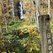 白い布のような滝