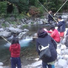 渓流釣り。養殖のニジマスが放流されます。