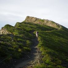 北側からみた白馬岳山頂