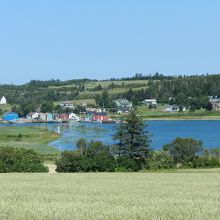 ビューポイントからの風景