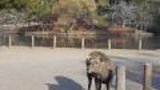 見る角度によっていろんな風景を楽しめます