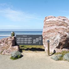 自然石が良い味を出してます