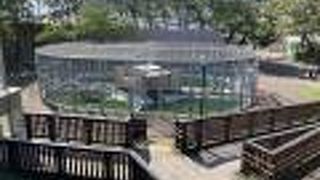 近所の人うらやましい