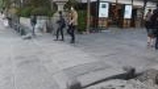 源頼朝ゆかりの場所