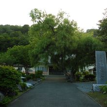 正門を入って本堂を見る