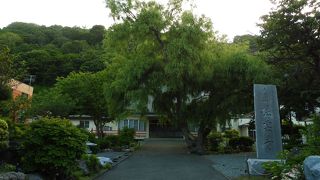 大きな石組みを配する日本庭園が………