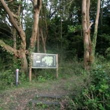 称名寺市民の森_日向山通り