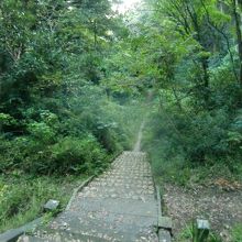 北條実時公御陵の参道は結構険しい