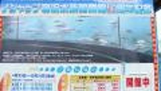 ゴマアザラシ・ペンギン・クリオネ