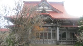 境内のチシマザクラが素晴らしいです！