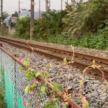 小佐越～新高徳間は、線路が道路と並行してビュースポットです。
